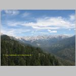 20060822_22Sequoia_017 copia.jpg